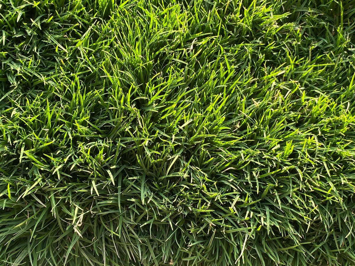GreenValleyTurf tweet picture