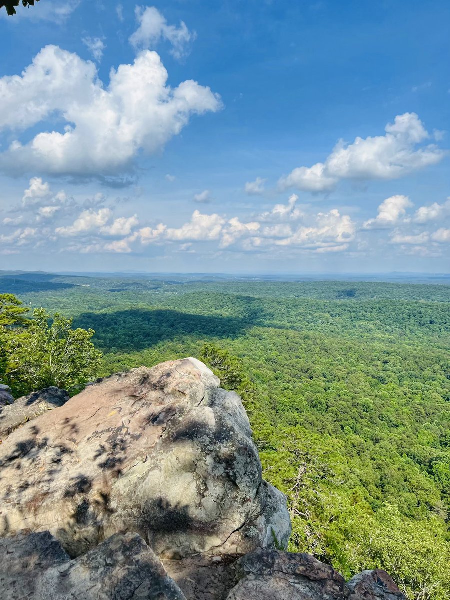 StephWVTM13's tweet photo. The view from #KingsChair at #OakMountainStatePark this afternoon 😍
📸 David Graves
#alwx https://t.co/OIKH4Cjy2G