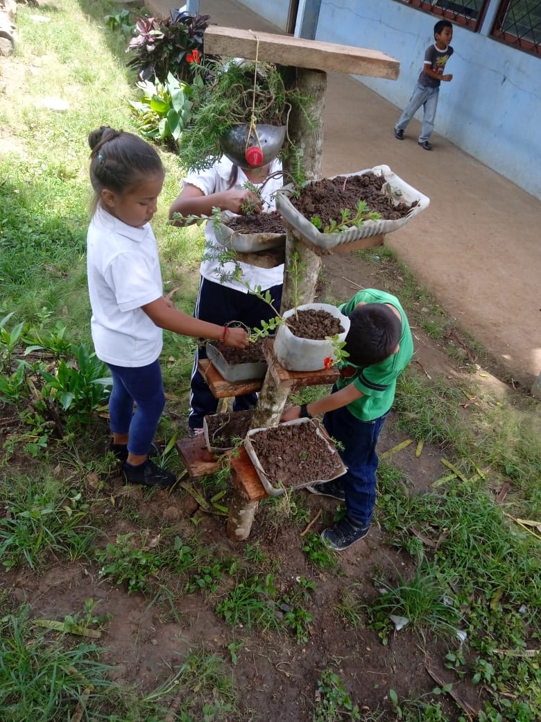 Reduciendo la contaminación ambiental a través del reciclaje y la reutilización de desechos sólidos.
#4319FuerzaDeVictorias 
<a href="/nerp_de/">NERP:NUESTRA SEÑORA DE GUADALUPE</a> 
<a href="/Mined_Camoapa/">BYRON JAVIER MENDEZ BELLO</a>