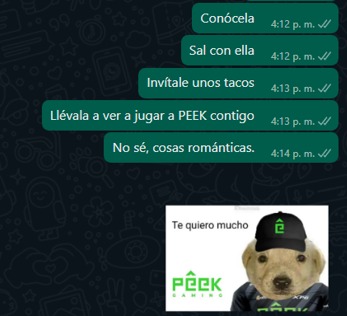 xibalbaesports_'s tweet image. Te damos el tip infalible para conquistar a la chica de tus sueños. 😉

Si apoya a #PeekGaming, es la indicada. 💚💍