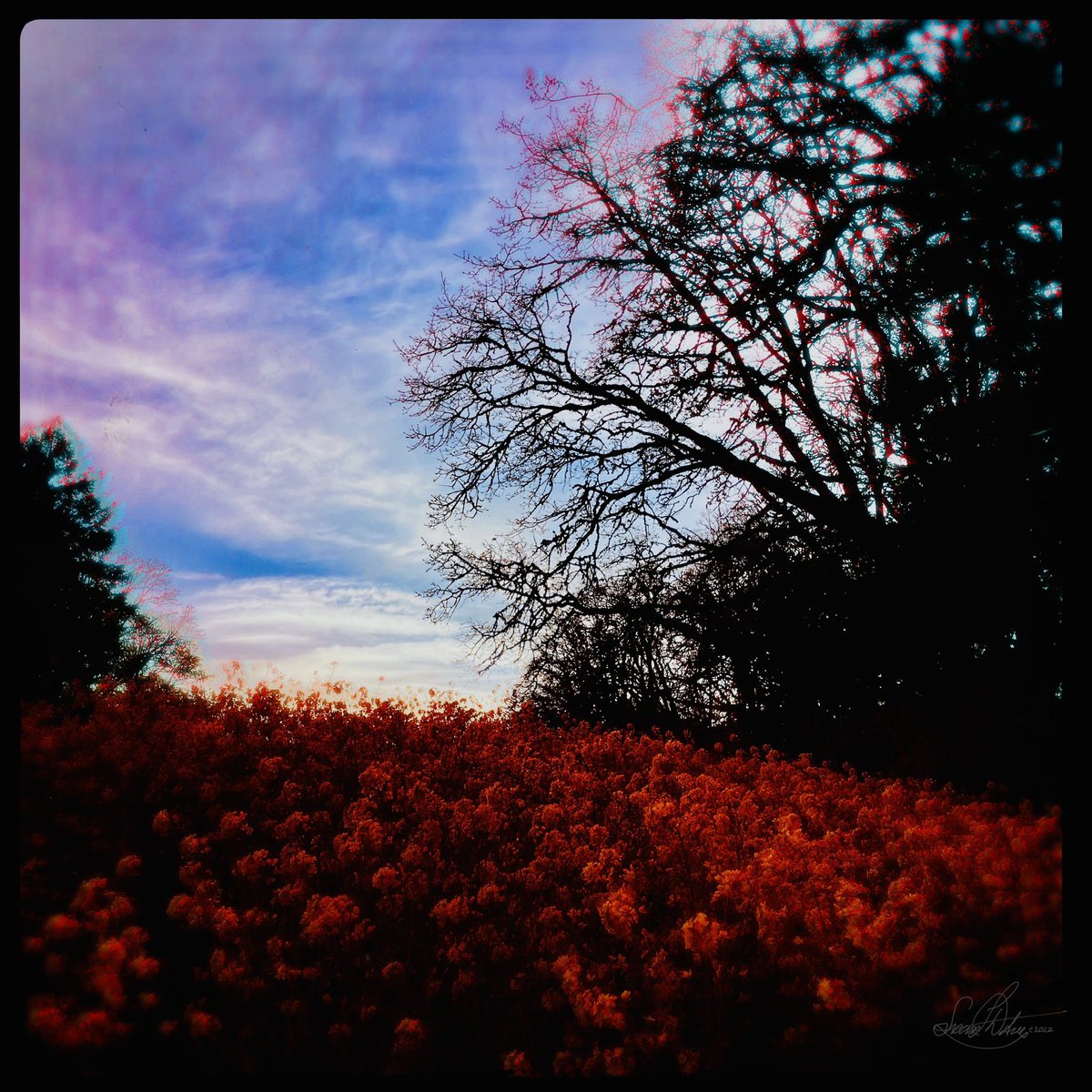 sdetroy's tweet photo. #artchallenge
Day Seven of Ten
It’s #iphone #cameraapps capturing my heart
Adore #realityshifts #wildcolor
contending for #NFTs
Thx @DianaDeAvilaArt @vokesart @karp_caroline @cdidonato_ @miminolledo @DeannaGibsonArt @morrison_polkie @golivas
I Nominate @RobbertzeEloise https://t.co/PuTOcEoKXA