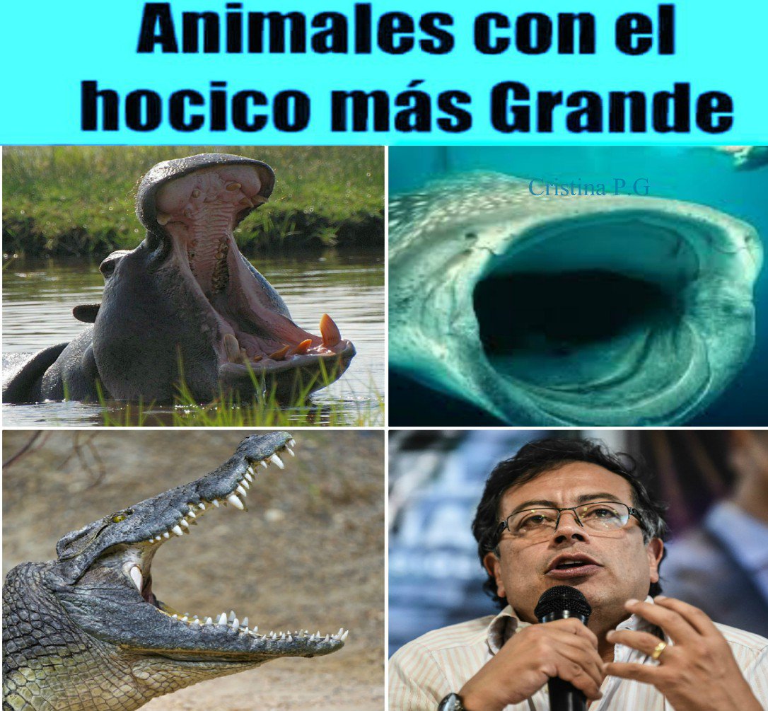 El Tío Sancho tweet media
