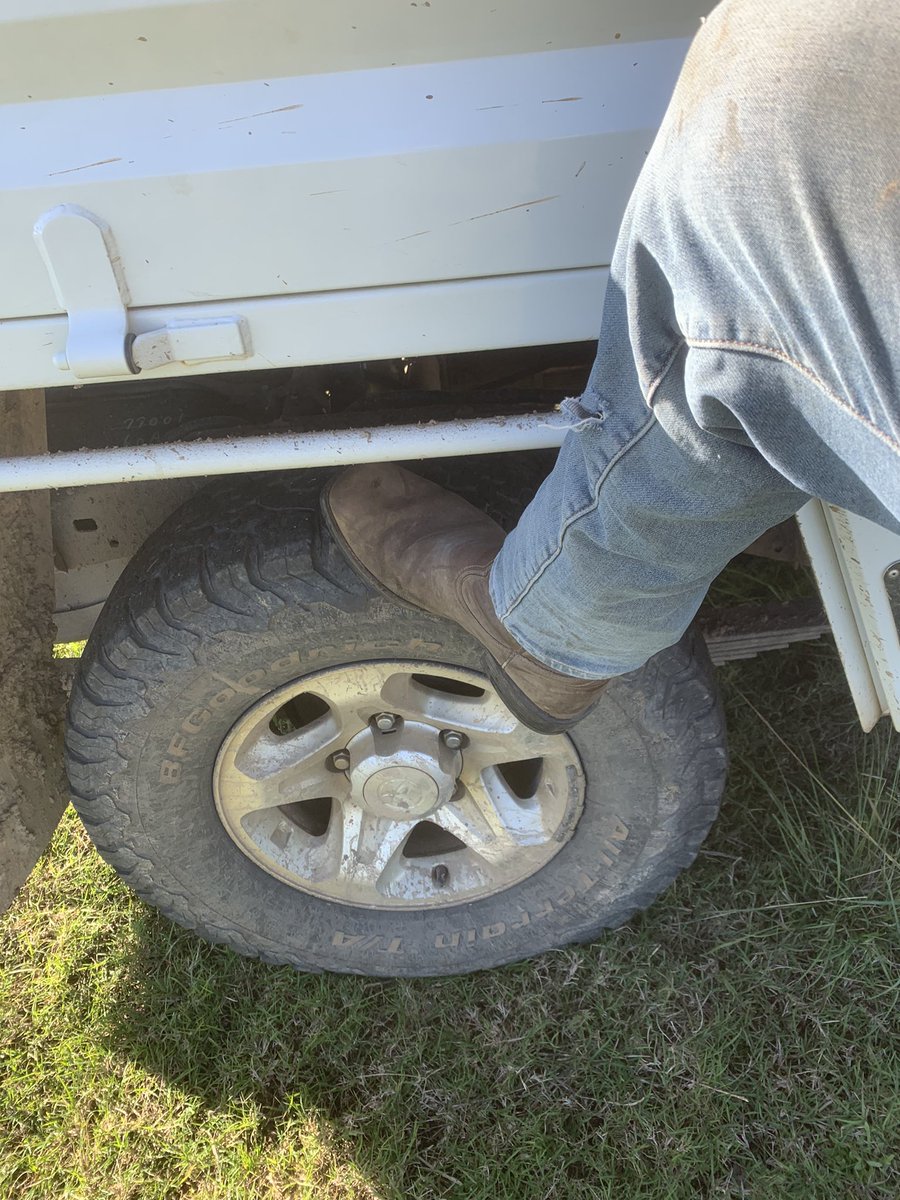 cowboy_alpha's tweet photo. "my ute gets me where I need to go, it is useful. What have you cunts done to be useful of late? #countrydom #findom #cashmaster https://t.co/Rbks4fwxot