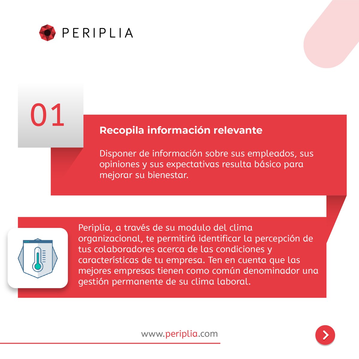 Periplia tweet media