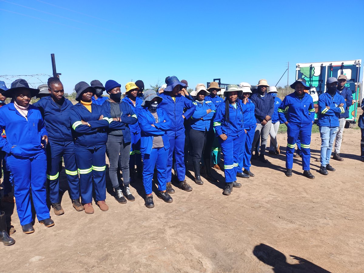 Dimakat01534283's tweet photo. Postgraduates University Students...use them to alleviate poverty and feed the nation...they know Agricultural Management &amp; the production plan, quality &amp; quantity for Marketing @DDMabuza   @DesboMohono @TauParks https://t.co/SUDBJPvt9x