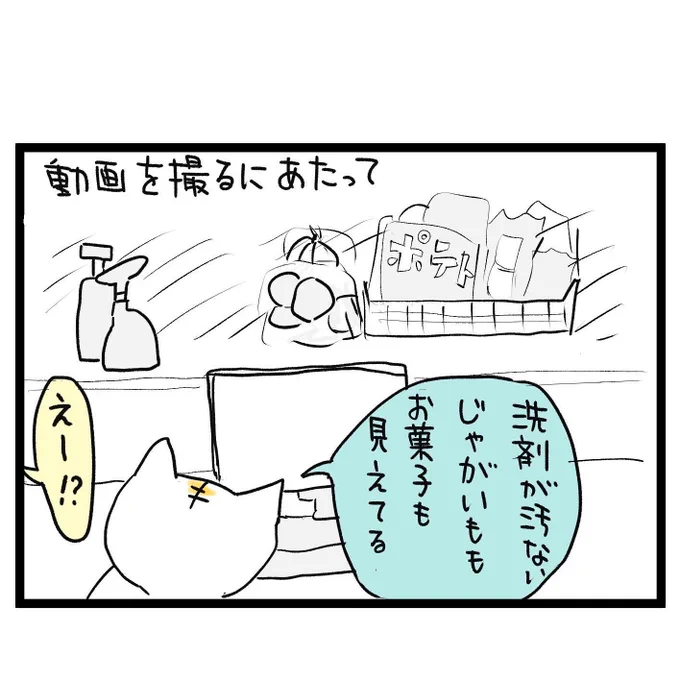 #四コマ漫画
#動画を撮る時 