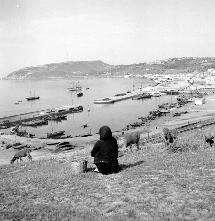 "De la vida no quiero mucho. Quiero apenas saber que intenté todo lo que quise, tuve todo lo que pude, amé lo que valía la pena y perdí apenas lo que, nunca fue mío".
Pablo Neruda
📷Artur Pastor