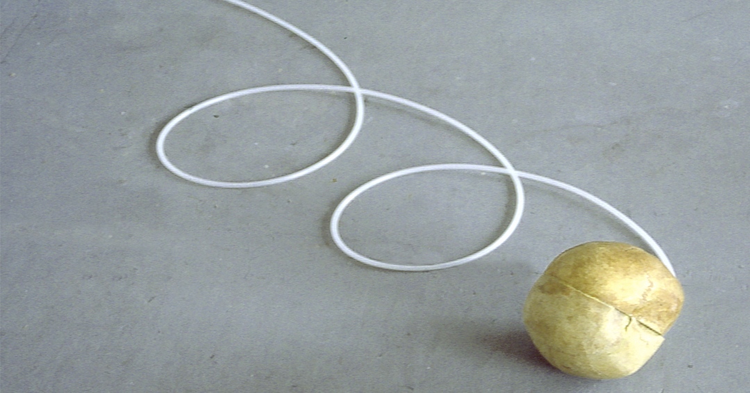 Dr Maria Fernanda Cardoso (@mfcardosoartist) on Twitter photo 