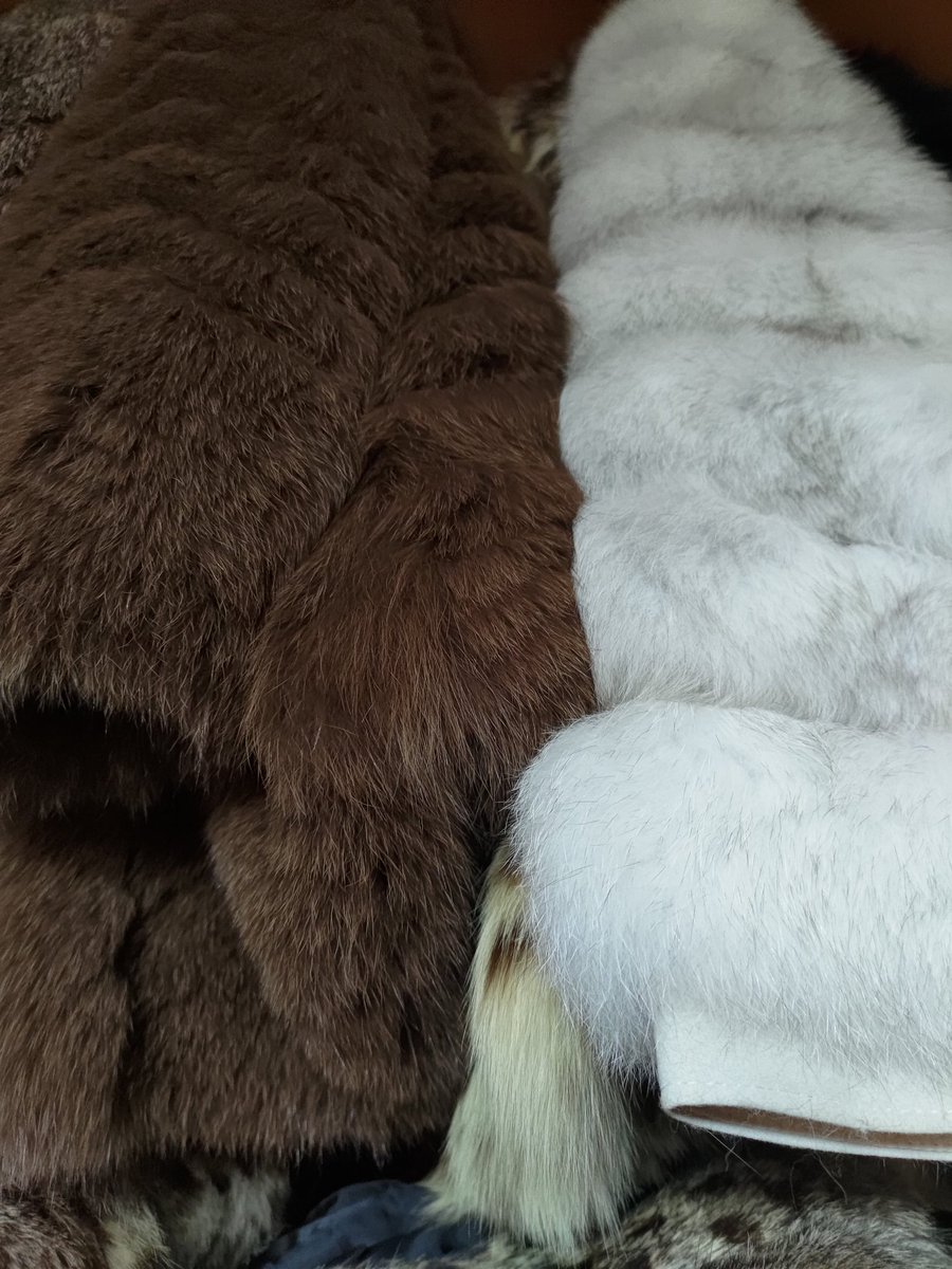 silumanbulu's tweet photo. Bulu-bulu siap dipakai untuk liburan Musim dingin 😍 #fur #bulubulu #furcoat #mantelbulu #jaketbulu https://t.co/2JptDE4kHR