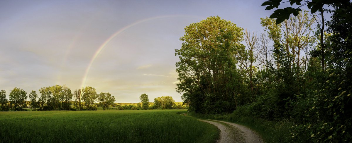Janulm83's tweet photo. Die Schönheit der Natur kennt keine Grenzen! Wir leben im Paradies nur der Mensch erkennt es nicht und zerstört es von Tag zu Tag.

#regenbogen #natur #schönheit https://t.co/rXvGA5WZbx