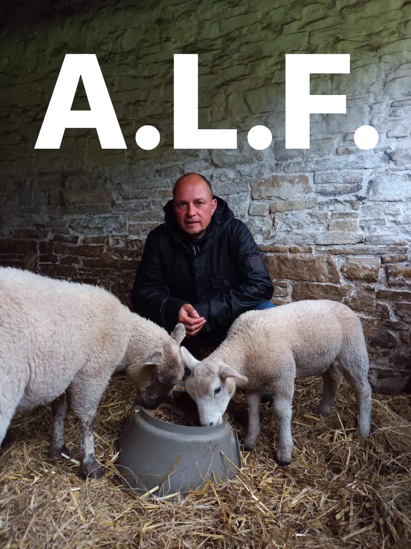 53Nhs's tweet photo. IF A NORMAL BLOKE LIKE ME WHO USED TO EAT MEAT 3 TIMES A DAY MOST DAYS CAN GO VEGAN, AND BEGIN TO LIBERATE ANIMALS LIKE LIL LUCY THE LAMB WHO WAS HOURS FROM A CERTAIN DEATH. THEN ANYONE CAN. DO THE RIGHT THING. 👍💚 https://t.co/H0Ptk4kFXH