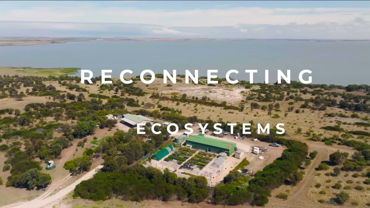 Looking to be inspired today? One of our new portfolio projects (via Cassinia) was recently featured on RE:TV (curated by no less than HRH The Prince of Wales <a href="/ClarenceHouse/">Clarence House</a>🤴 as part of <a href="/TheSMI/">The Sustainable Markets Initiative</a>) in an awesome mini-documentary. Check it out! buff.ly/3GvWJlW.