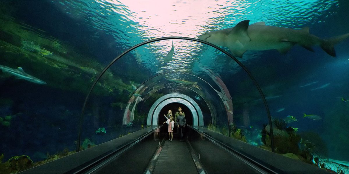 Visit California tweet media