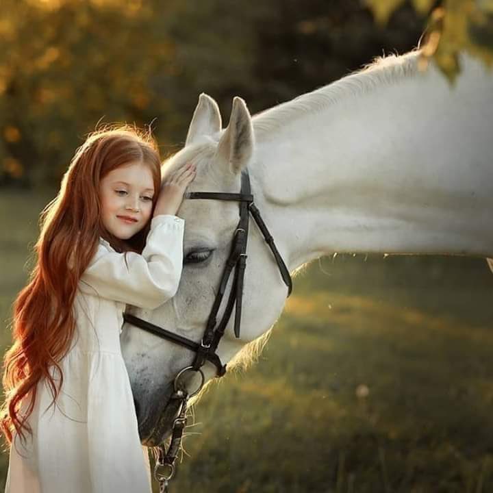 اسهـل مفـاتيح الـقلـوب ابتسامـه
واترك عيوب الناس وتموت راضي
والصمت في بعض المواقف كرامه 
وقـد قيـل ثلثين السعـاده تغـاضـي.