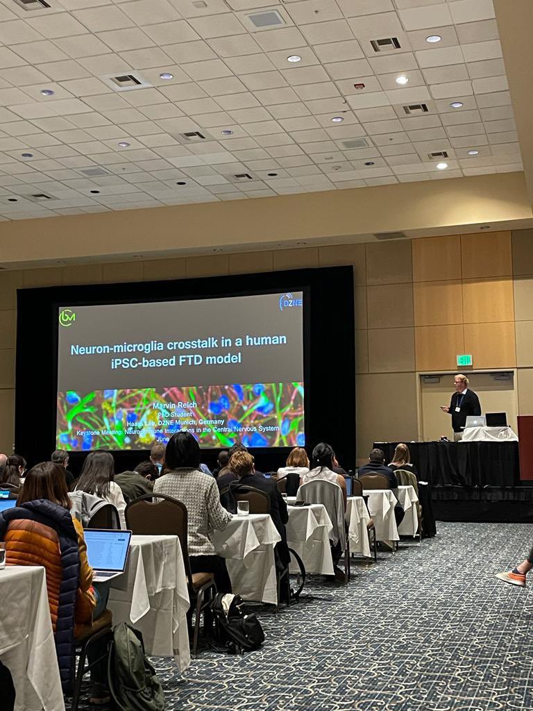 Haass_Lab's tweet photo. Today, our PhD student Marvin Reich did a great job on presenting his work during his very first conference talk! If you are at #KeystoneSymp check out poster 3007 to learn more. https://t.co/K8YQKCCneF
