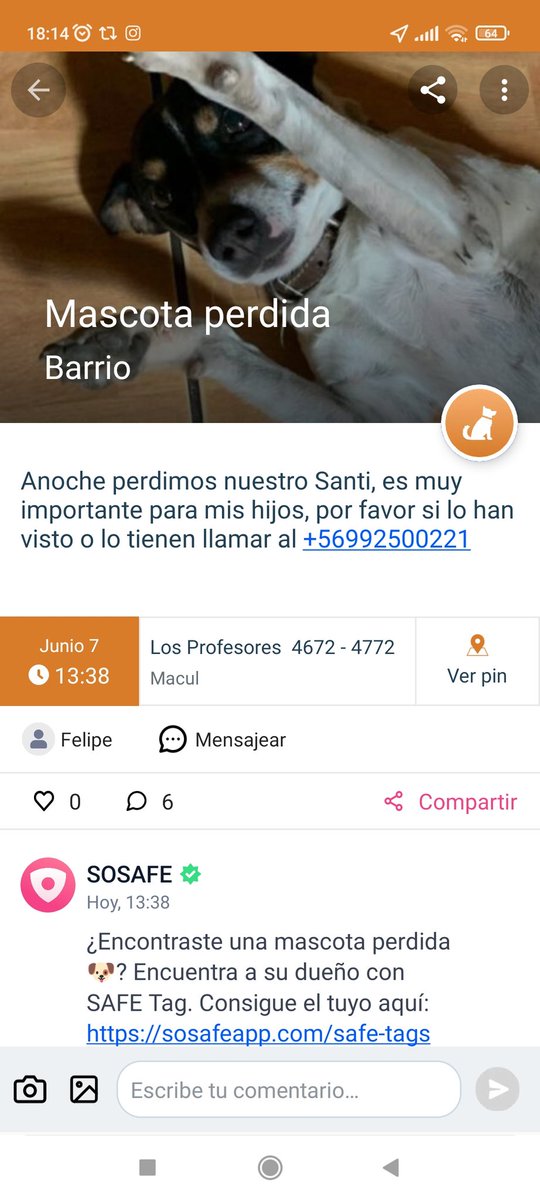 Ayuda‼️‼️
Se busca a este perrito perdido en #Macul dicen que estaba en Metro Macul y alguien lo subió a un carro pero no sé sabe hacía dónde. Lleva el collar de la foto, chip sin registro. Si lo veo lo tienes avisa al +56992500221
RT <a href="/KarendTV/">Karen Doggenweiler L</a> <a href="/vrojaso77/">Verónica Rojas Orellana</a> <a href="/demarylouise/">María Luisa</a>