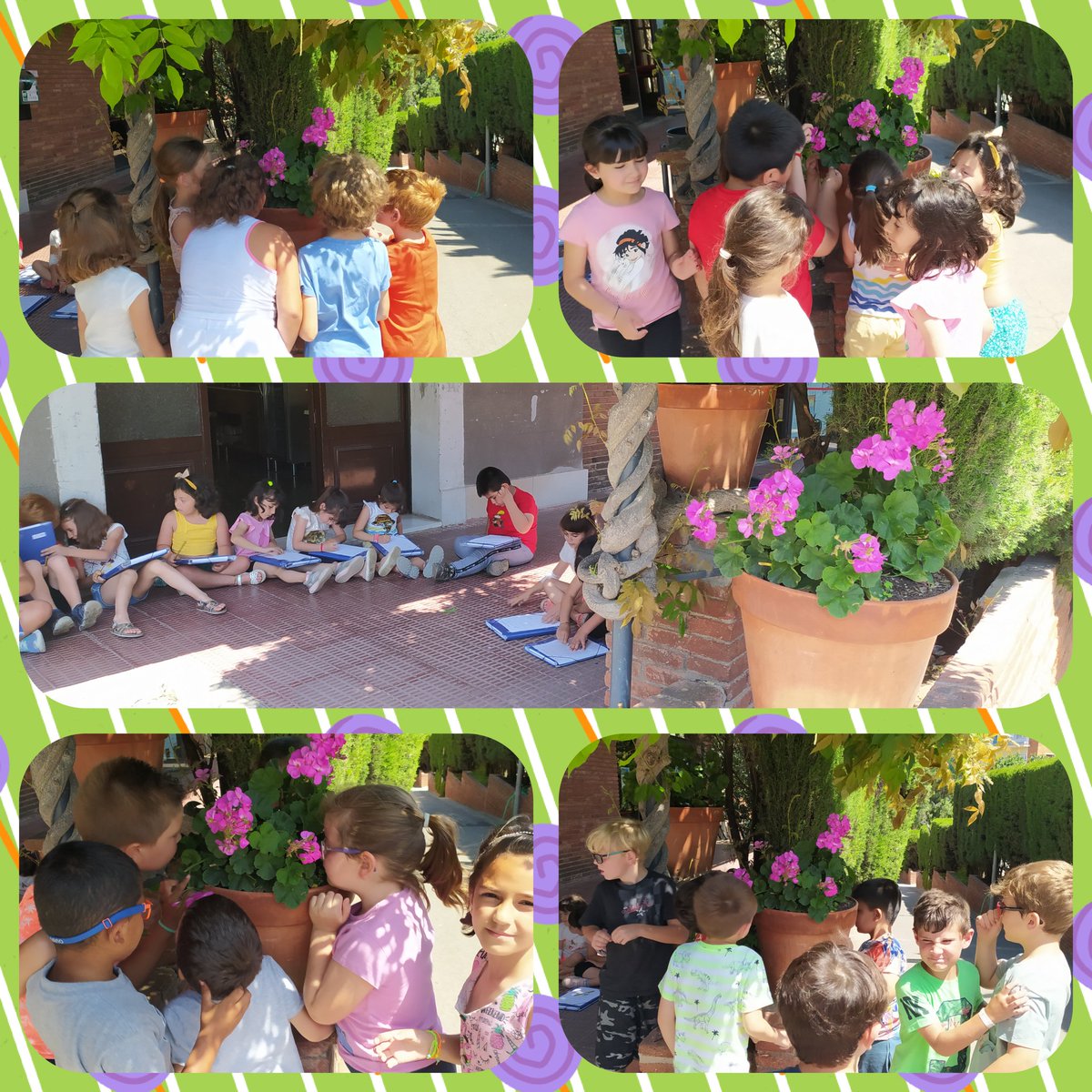 joanpacn's tweet photo. Descobrir, observar, tocar, olorar... La millor forma d'estudiar les plantes i dibuixar-les al natural @immaculadahorta alumnes de 1r de Primària https://t.co/2QAqyI9iIK
