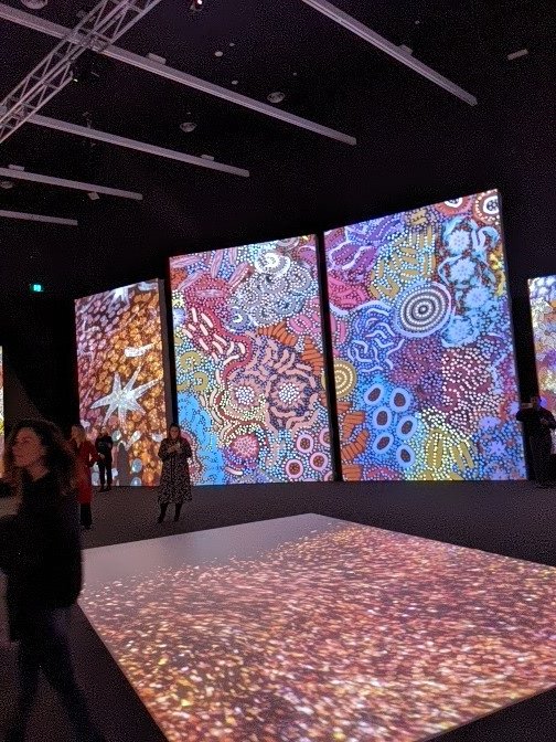 paula bray tweet media