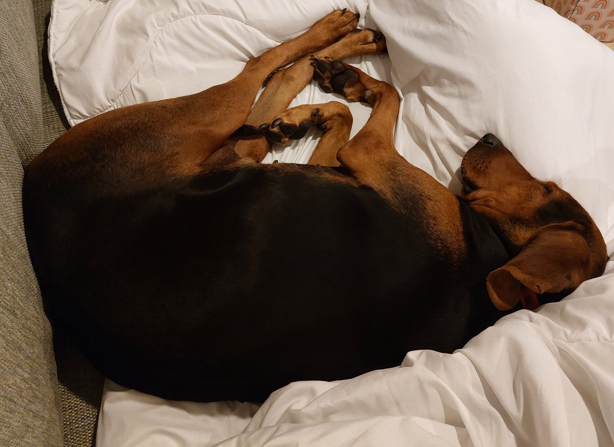 Tinkerbelle tweet media