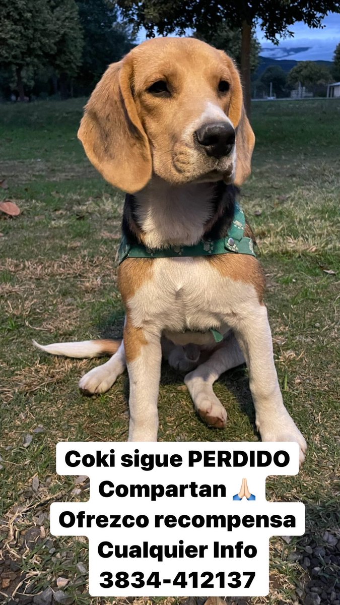 CATAMARCA ‼️ Compartan por favor