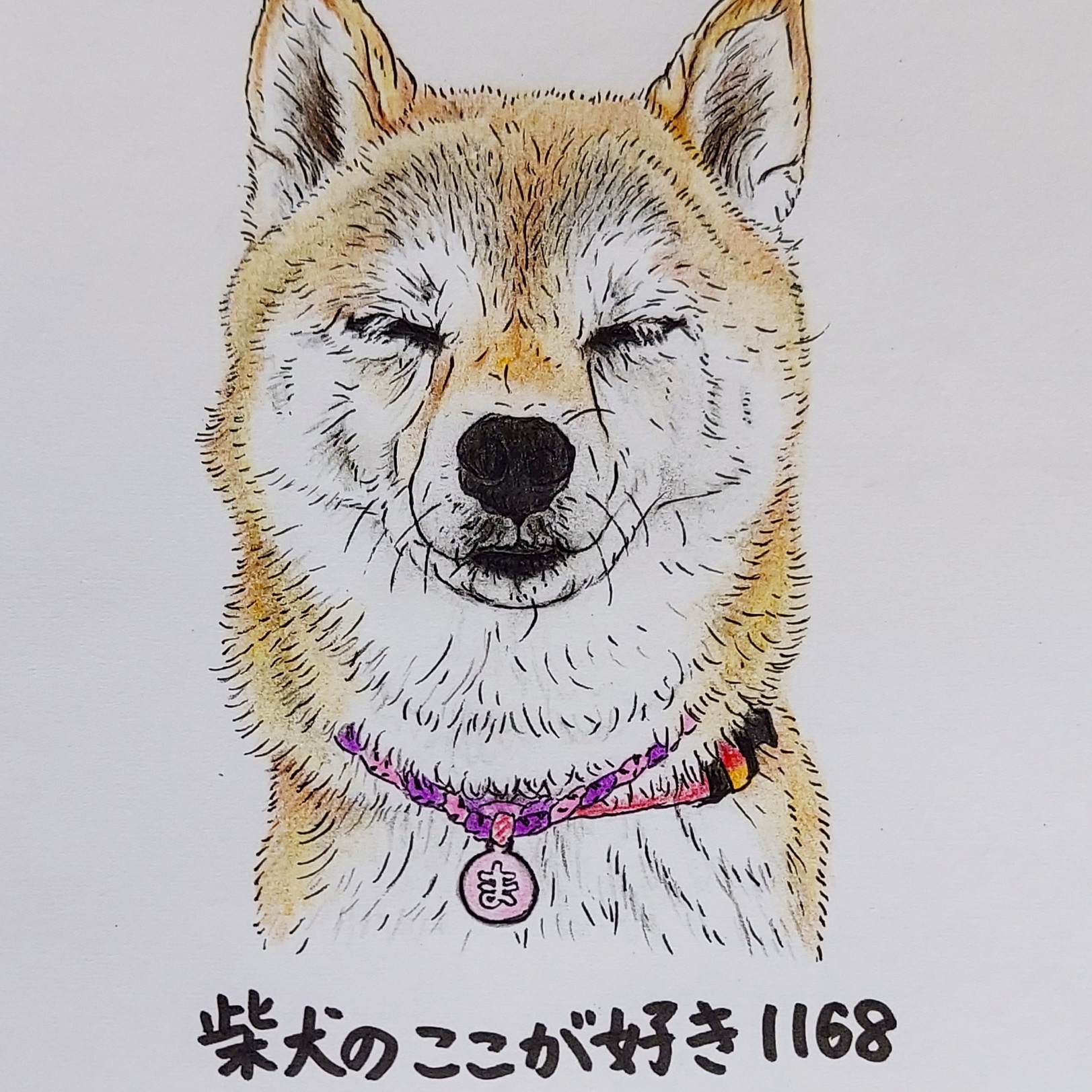 ここ柴 写真を撮るときに限って 目をつむるとこ さっきまで開いてたのに フラッシュをたいてるわけでもないのに つむるよね 柴犬のここが好き ここ柴 ここ柴部 柴犬 イラスト 色鉛筆 色鉛筆イラスト T Co Lukk5u1p2e Twitter