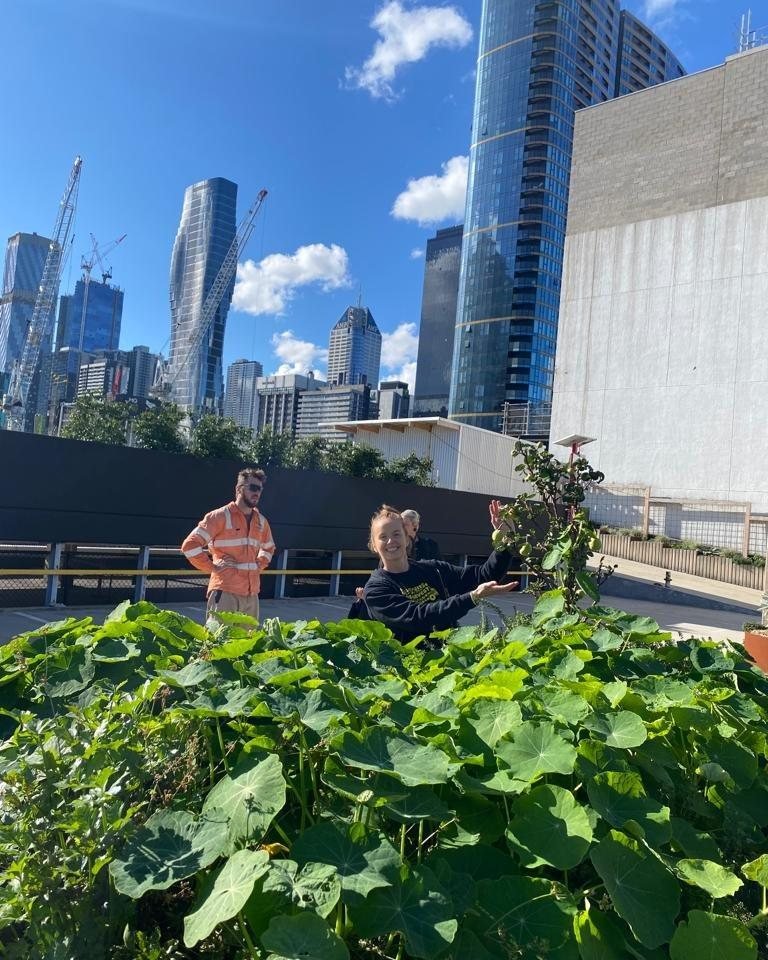 Thank you Melbourne Skyfarm for hosting a tour for our team! We are so grateful for the nutritious produce that is regularly donated to Victorians in need. We love seeing food miles reduced to food metres! @OzHarvestMelb @MCEC #melbourneskyfarm #sustainability #education