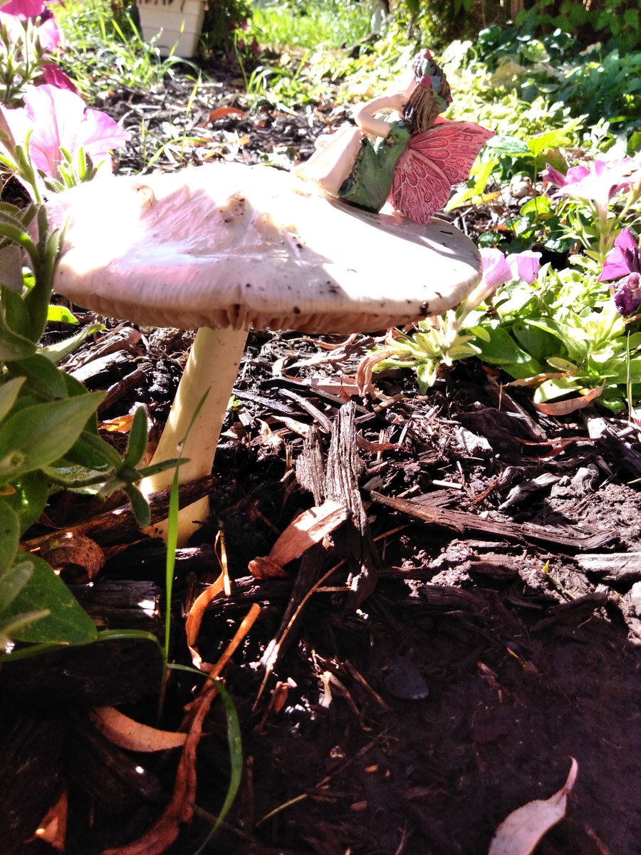 Kari Rimbey tweet media