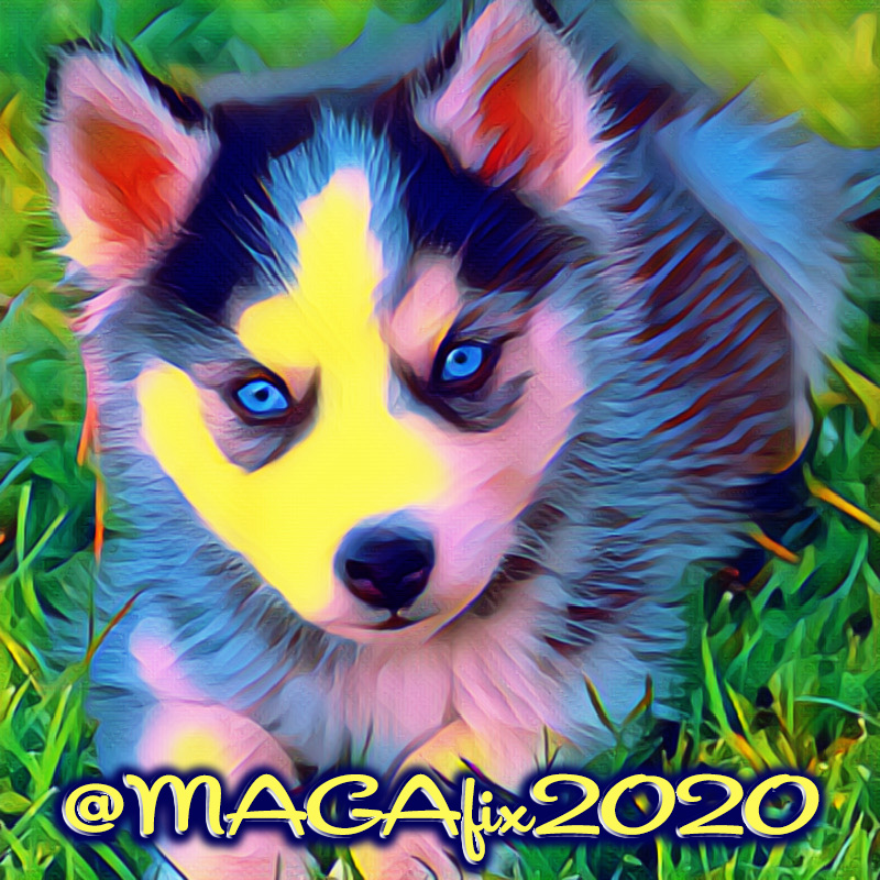 🚂🐶🚂
<a href="/YmTexas/">❤️🌹YMTexas🌹❤️</a>
<a href="/MAGAfix2020/">𝟸𝟶𝟸𝟶✦𝚃𝚁𝚄𝚃𝙷 🇺🇸 𝙲𝚊𝚕𝚕 𝙼𝚎 𝙱𝚛𝚞𝚌𝚎</a>
<a href="/Amy95474055/">🏝SurfG10🏝</a>
<a href="/PenceSux/">🍊🍊Trump Won Big 🇺🇸🐱🇺🇸</a>
<a href="/listcode/">listcode</a>
@BruceSoonerdude
<a href="/TrumpReinstated/">☆𝗥𝗘𝗜𝗡𝗦𝗧𝗔𝗧𝗘 𝗧𝗥𝗨𝗠𝗣☆</a>
<a href="/Arzi911/">Arzi</a>
<a href="/lambo555/">John Ward</a>
<a href="/TwinsBus/">Twins on a Bus 𝕏 🇬🇧🇩🇪🇮🇹🌏</a>
<a href="/TeeJ2021/">TJ</a>
<a href="/this_is_austen/">🍄UltraNuclearDagnyTaggart🍄</a>
<a href="/LegendaryWolF2_/">ɳσƚ υɳƙɳσɯɳ</a>
<a href="/Qu33nB56/">👸Queen B 56 🐝</a>
@Teddy2748
<a href="/45Scooby2/">Scooby-Doo Too</a>
<a href="/itllbeok__/">Molly Ruth</a>
<a href="/Erica7016/">💦🩵🦋EM🦋🩵💦</a>
@1DawnSunrise
<a href="/tammyleeco/">Tammylee</a>
<a href="/FJBfix2020/">❥ Sally Storm 🇺🇸</a>
<a href="/Zegdie/">⧼D̼⧽⧼i̼⧽⧼a̼⧽⧼n̼⧽⧼e̼⧽</a>
<a href="/mother_tx/">❤️💐TXmotherBird (Susan)🌺❤️</a>