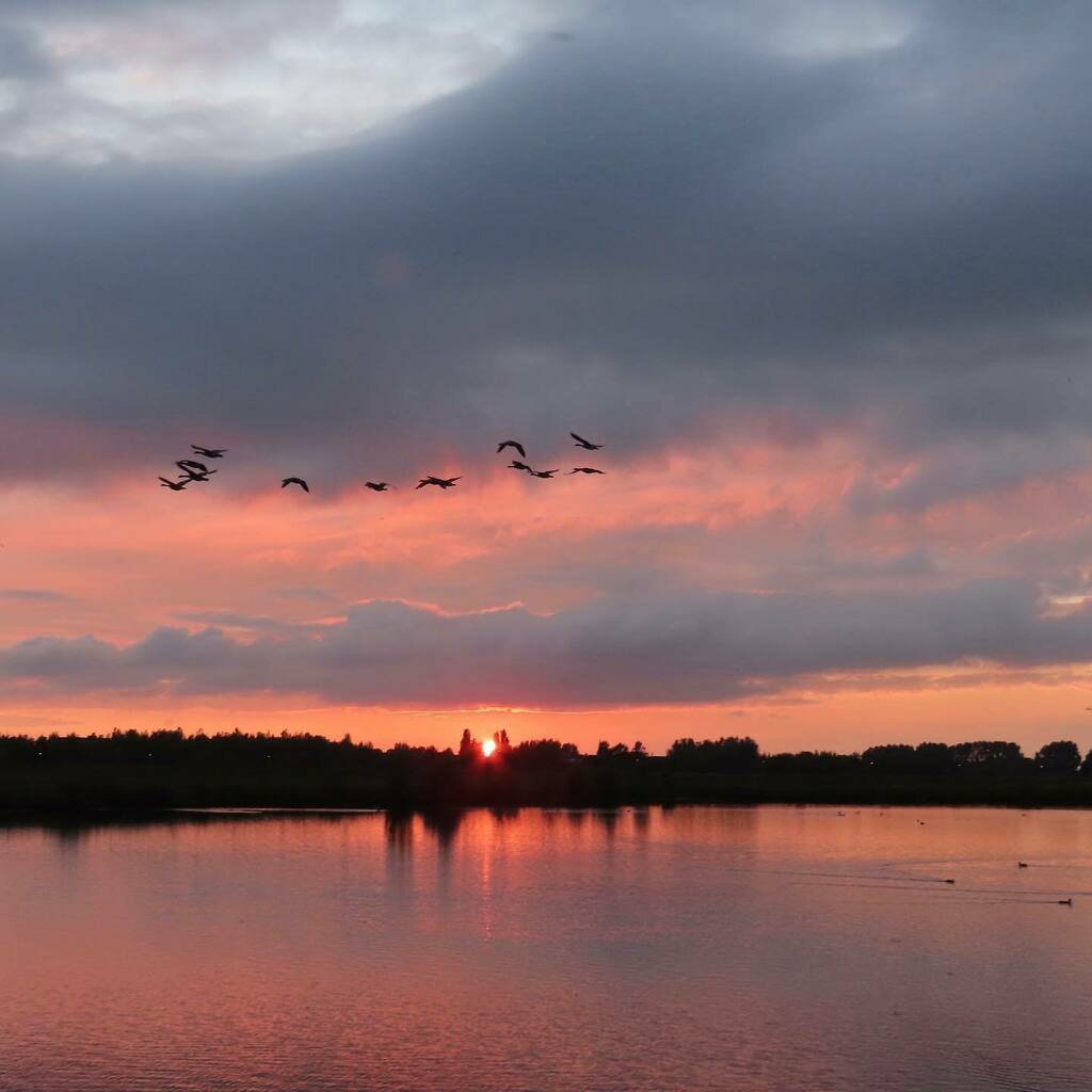 KeizerEllen's tweet photo. Sunset #groenzoom @degroenzoom
#photobyme #heart_imprint https://t.co/xdBJcx6Uo7 https://t.co/pMC2Nh8lxp