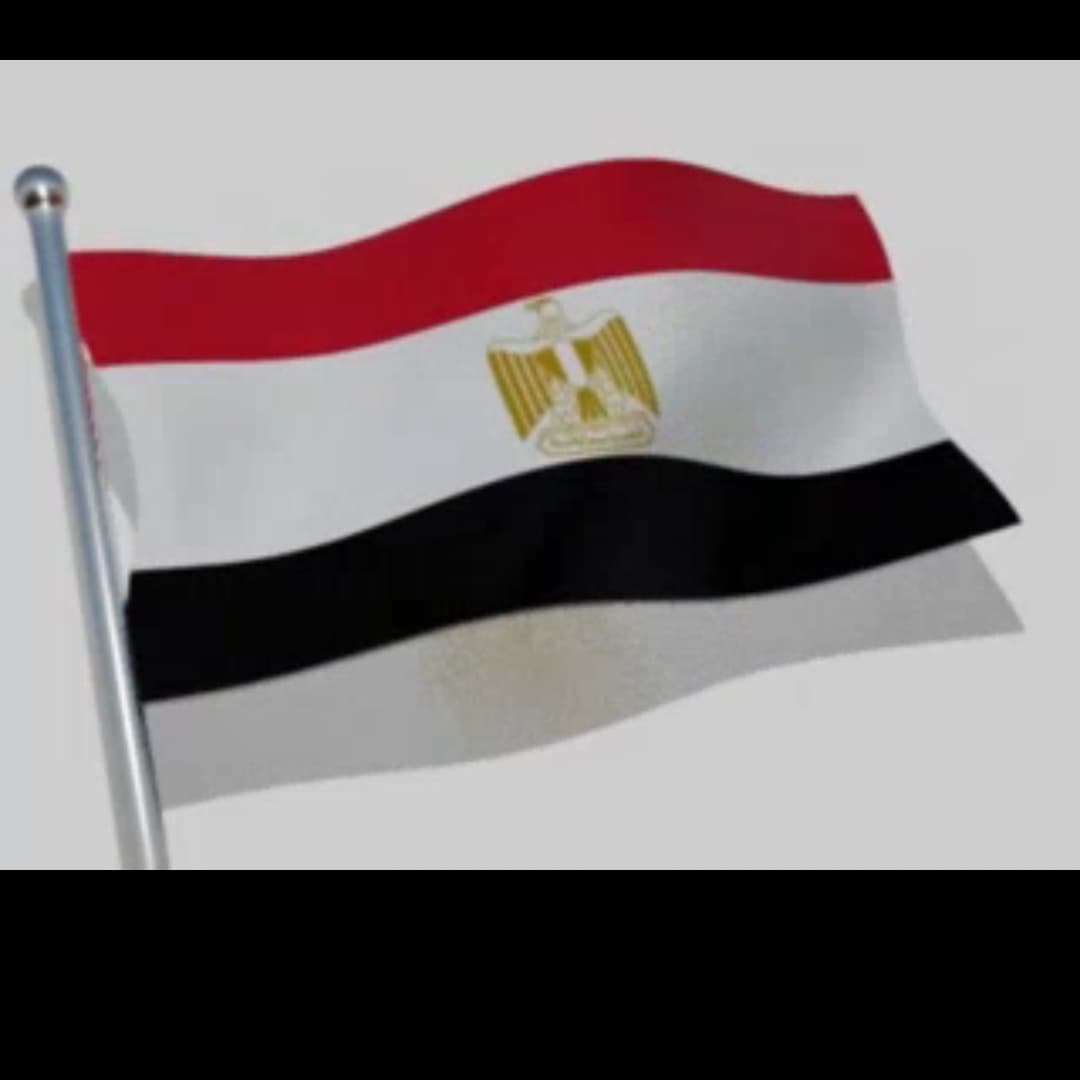 #بحبك_لانك 
لانك علم بلادى تحيامصر