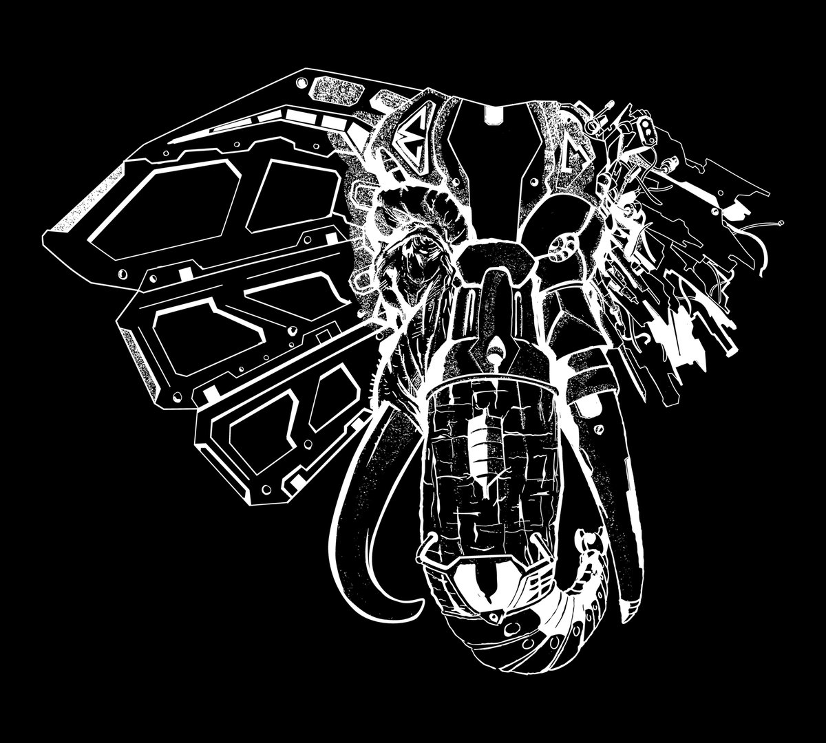 En el año 1935, una vaga de desapariciones de elefantes a nivel mundial, no obtuvo explicación alguna.
Por todo el planeta tierra, miles de estos majestuosos y nobles seres desaparecían de la noche a la mañana sin dejar rastro.