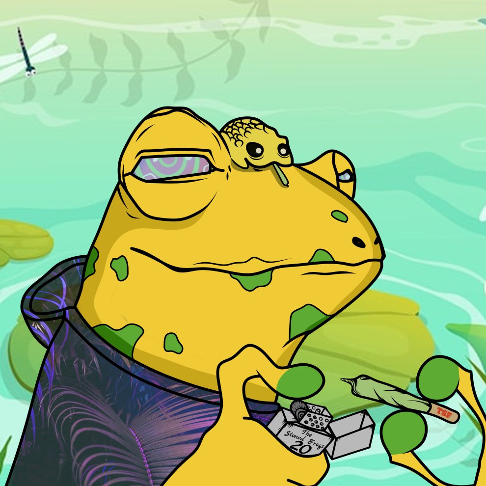 The Stoned Frogs tweet media