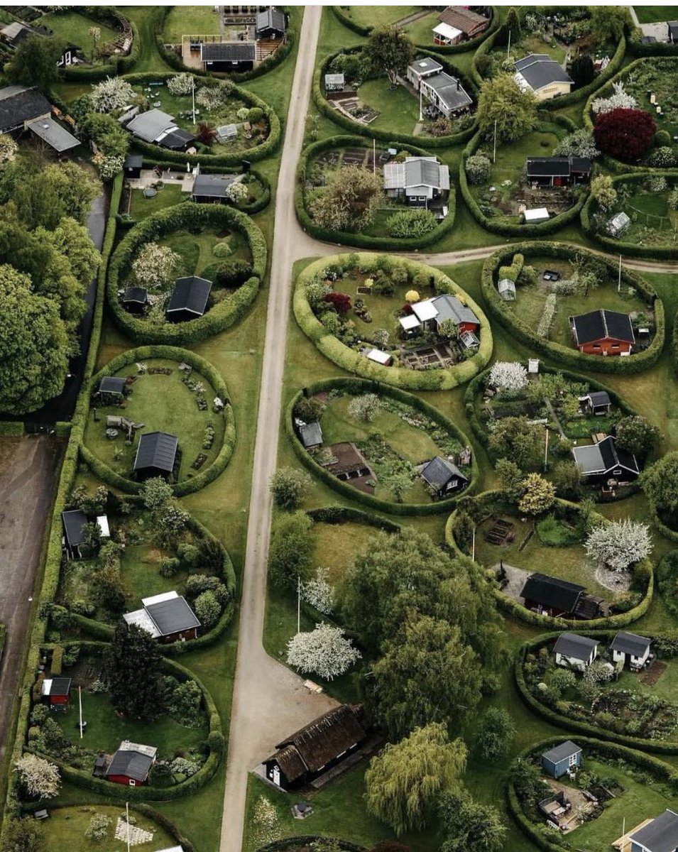 Que no lo vea <a href="/jaimemaussan1/">Jaime Maussan</a> ah se crea