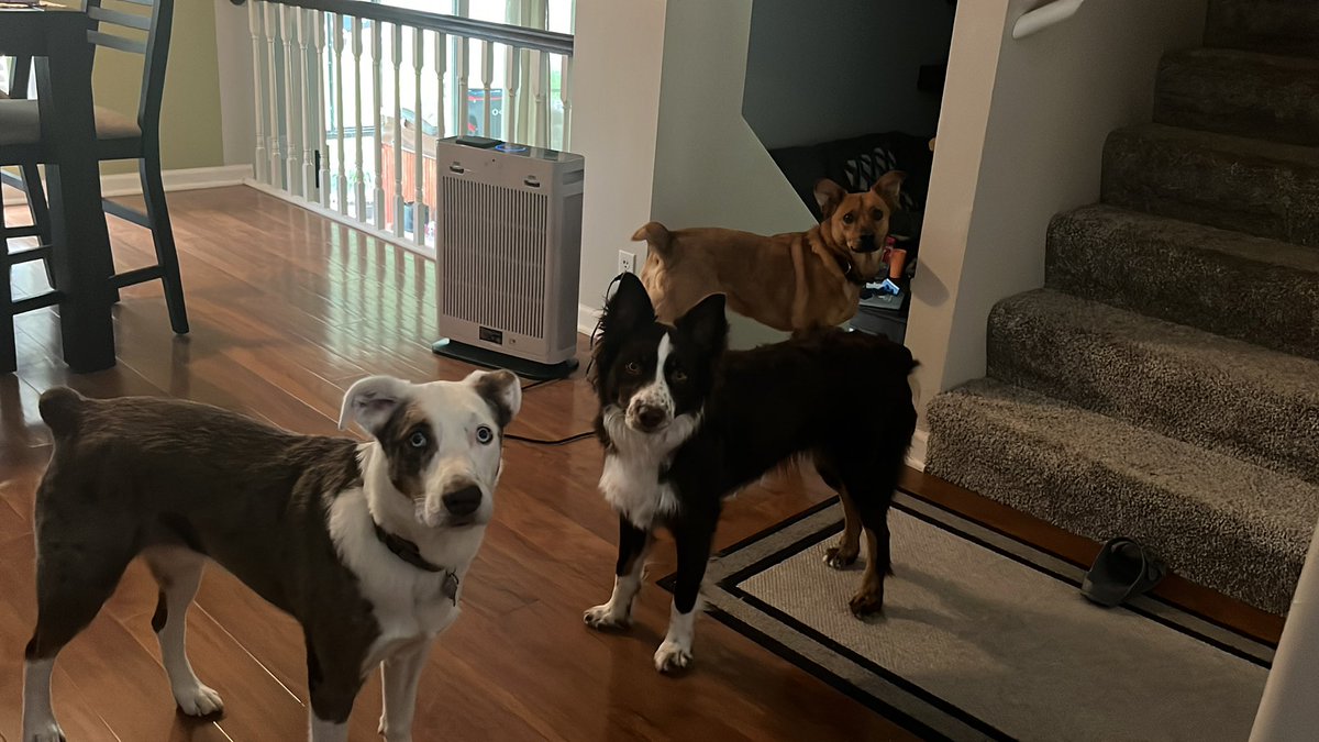 Steve Saunders tweet media