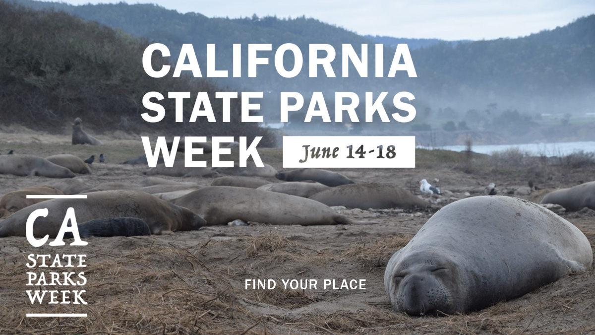 Choose your adventure during the first ever #CaliforniaStateParksWeek – a week of community events and in-person and virtual programming to celebrate state parks!

What days are you celebrating with us?👇
bit.ly/3x3IbGY

#ParksForEveryone @CAStateParks
