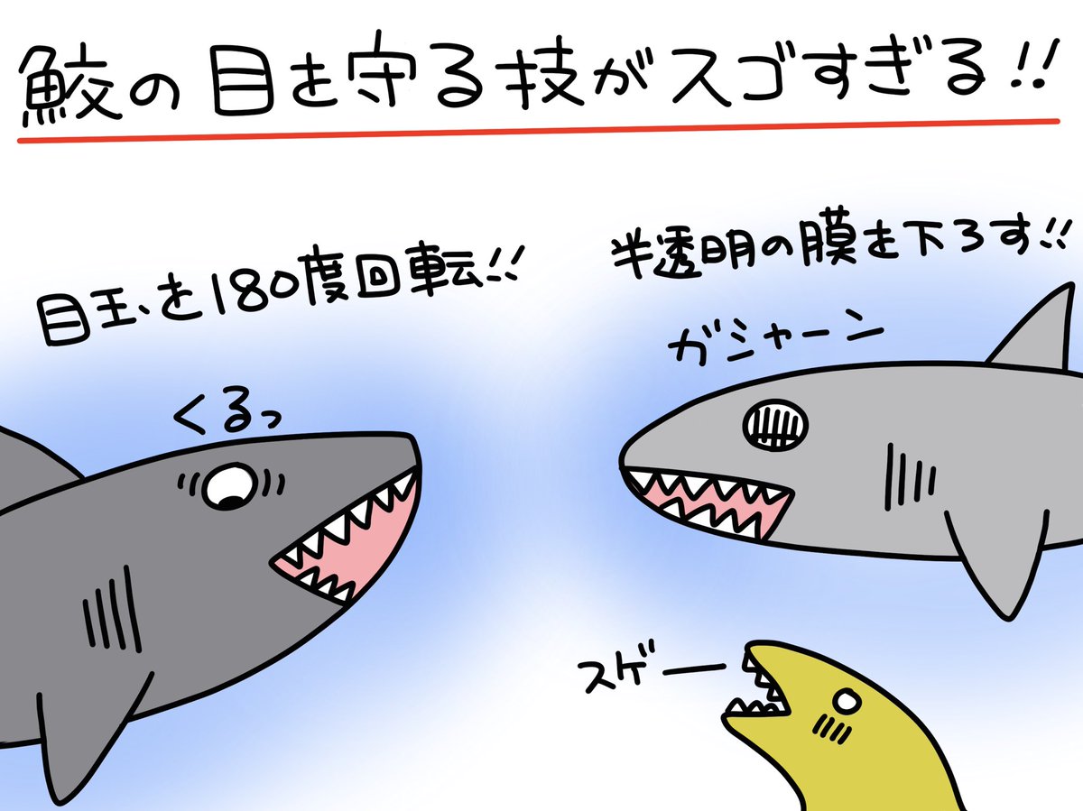 鮫 のイラスト マンガ コスプレ モデル作品 331 件 Twoucan 鮫 のイラスト マンガ コスプレ モデル作品 331 件 Twoucan