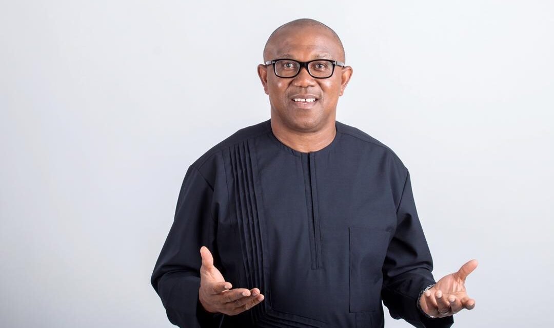 PulseNigeria247's tweet photo. Dear Nigerian Youths, as you listen to the aspirants of the ruling party jostle for their party's ticket, think and ask if they can offer tomorrow what they could not provide in 7 years; and if you are doing better than you were seven years ago. - Peter Obi https://t.co/r0RsVJxPEl