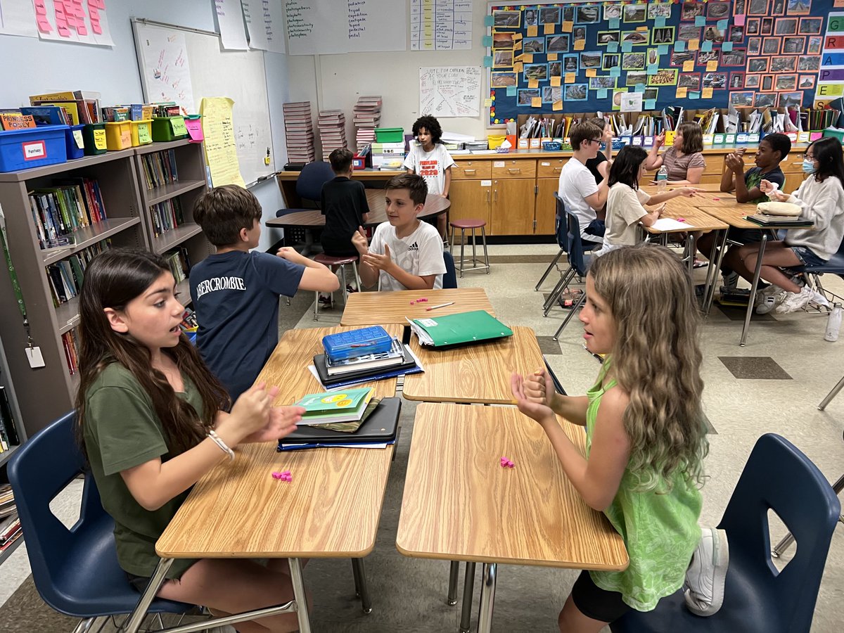 Rock Paper Scissors: a study of economic systems