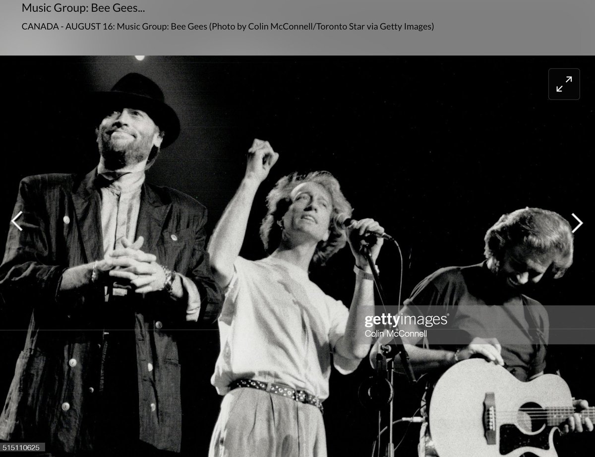 #BeeGeesPhotos