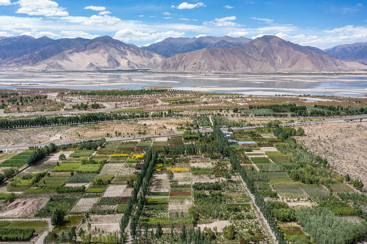 FlyOverChina's tweet photo. With unwavering endeavors of sand control and #ecology restoration, more than 45 million trees have been planted over the past four decades in Shannan, an area the Yarlung Zangbo River runs through, SW China's Tibet Autonomous Region #InTibet https://t.co/0q80rnTvFA