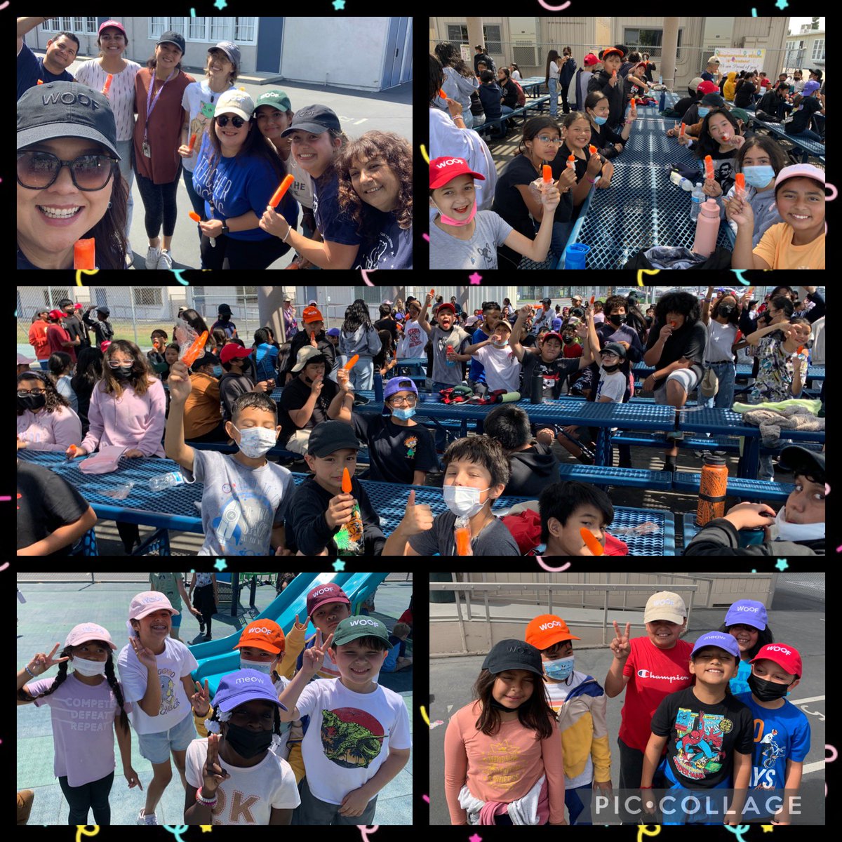 Willow Elementary (@willowes_abc) on Twitter photo Fantastic Field Day FUN at Willow today! A special thanks to <a href="/VCAPetHealth/">vcapethealth</a> for their donation of hats! #woof 🐶 #meow 🐱 #willowesrocks #abcstories #wolfpackstrong Fantastic Field Day FUN at Willow today! A special thanks to <a href="/VCAPetHealth/">vcapethealth</a> for their donation of hats! #woof 🐶 #meow 🐱 #willowesrocks #abcstories #wolfpackstrong