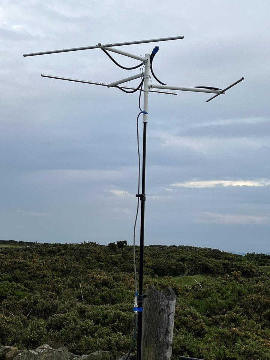 Nick M 1 D D D tweet media