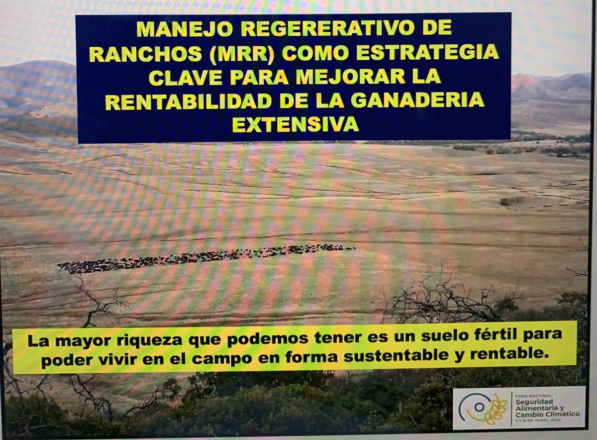 Leticia Deschamps S tweet media