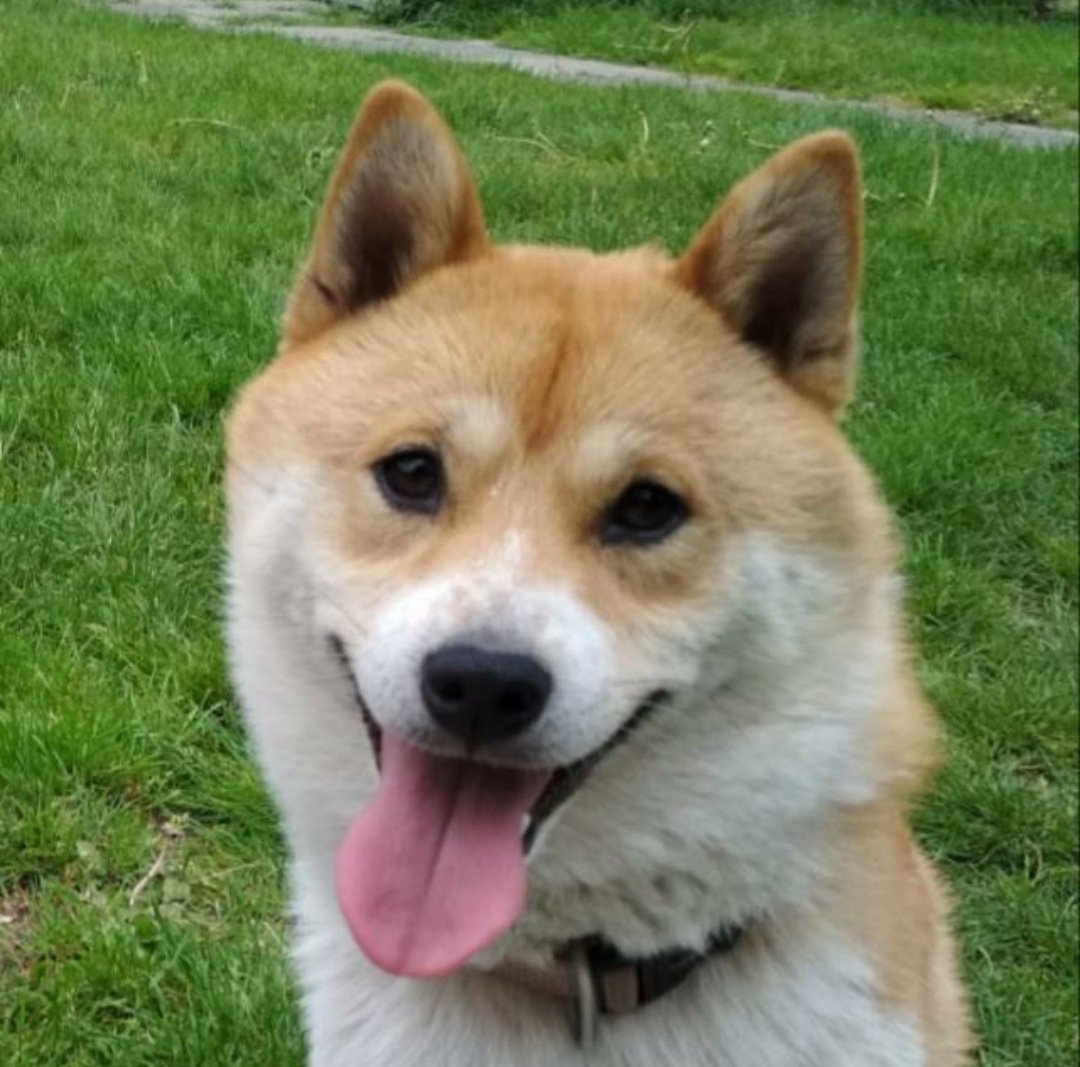 new video this friday
until then, here's a picture of my dog