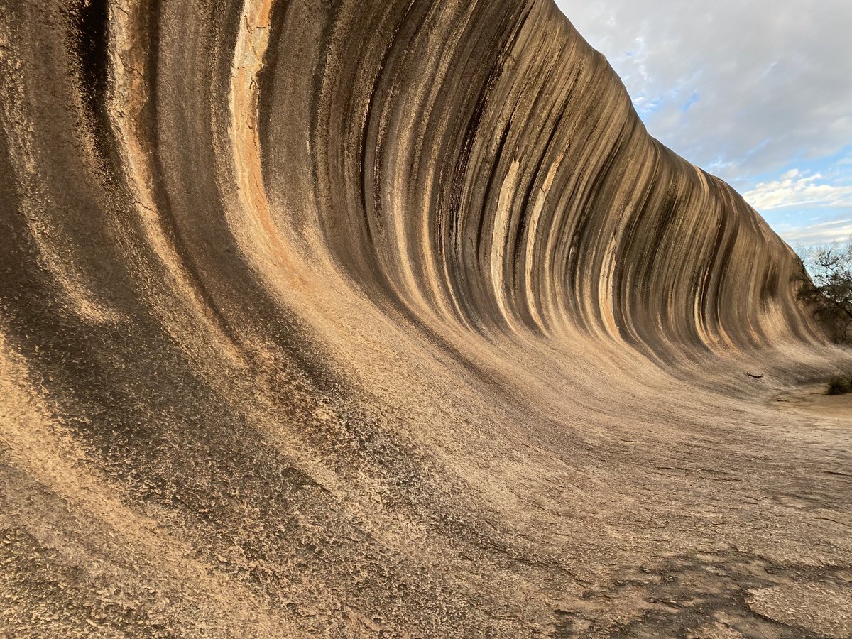 IntellectAg tweet media