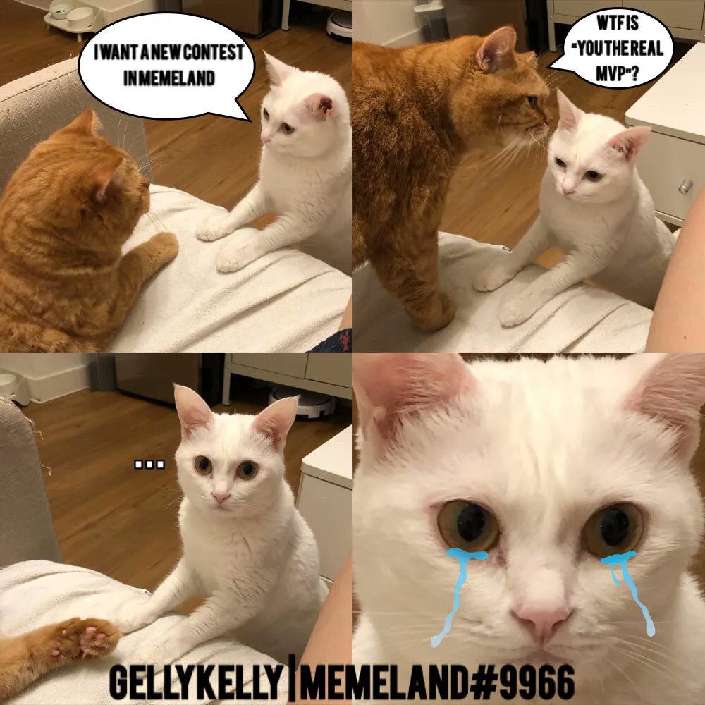 GellyKelly tweet media