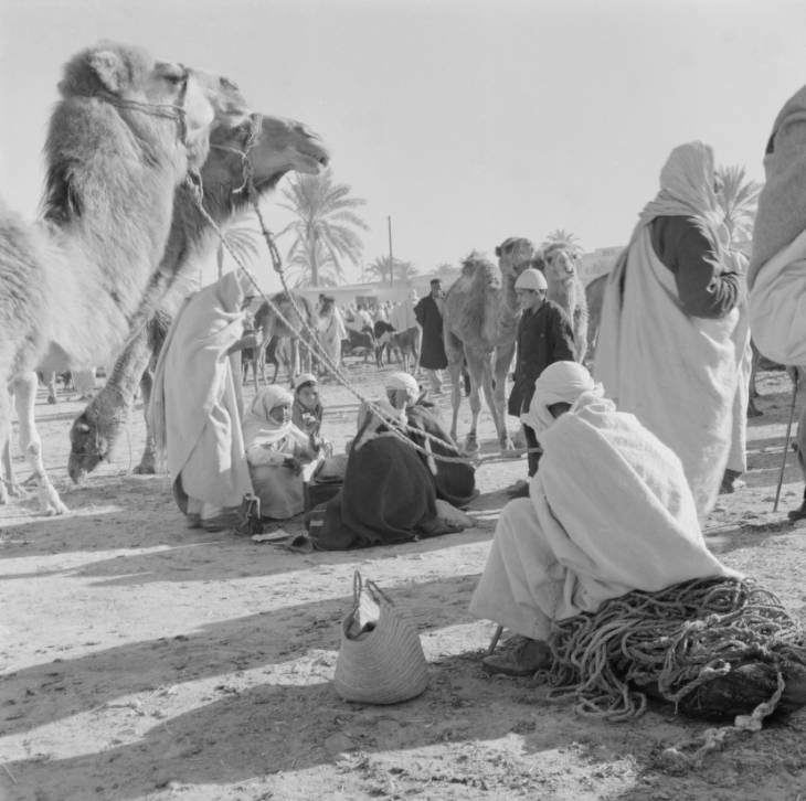 Kadafi nasceu na aldeia de Abu Hadi, em uma família de beduínos dedicados ao pastoreio de camelos. Tornou-se um nacionalista de tendências socialistas na juventude, durante seus estudos em Saba, interessando-se igualmente pelas ideias do líder egípcio Gamal Abdel Nasser.3/27