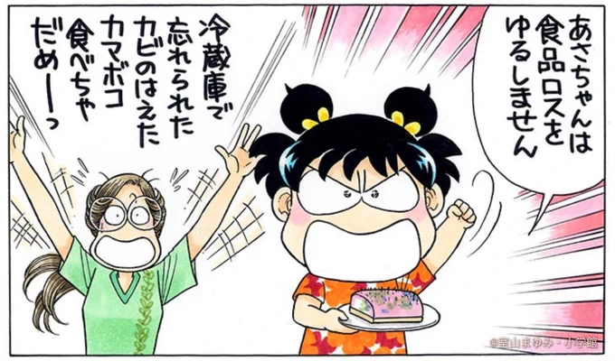 日本の食品ロスは、国民ひとりあたりが毎日お茶碗1杯分のごはんを捨てているのと同じくらいの量なんだって。

びっくり。 