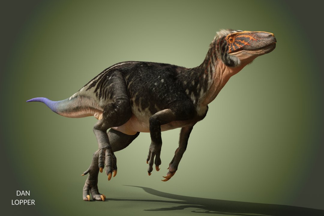daniel_lopper's tweet photo. Fukuiraptor kitadaniensis. I love megaraptors, and how many of them have been discovered recently https://t.co/IcuFGcs4hK