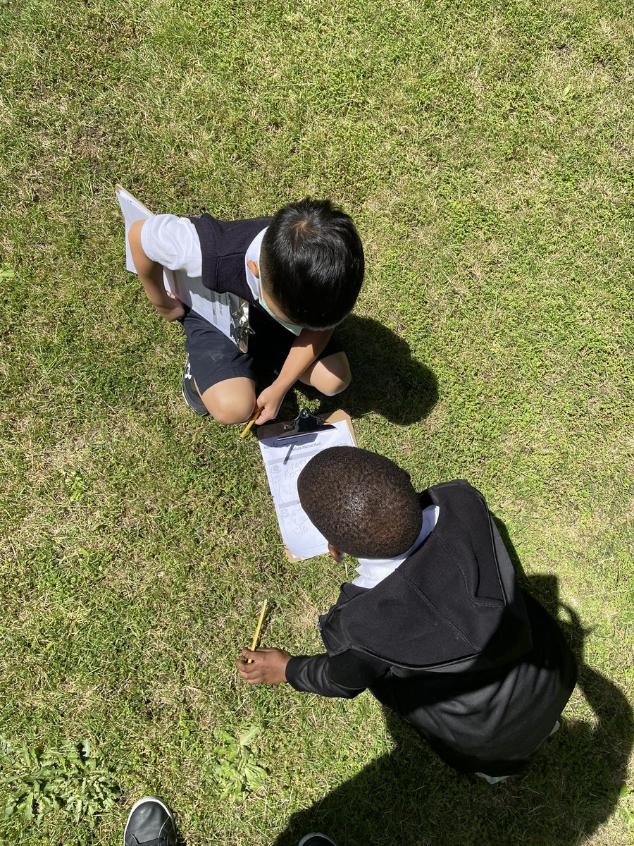 MsAlbertisClass's tweet image. Day 19 #walkingcurriculum challenge: matter hunt! What solids, liquids and gasses can you find?